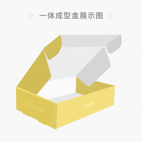 一體成型盒