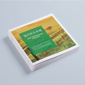 專版畫冊